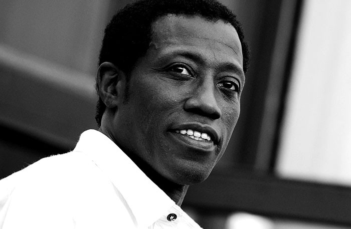 Wesley Snipes - Failure To Pay Taxes