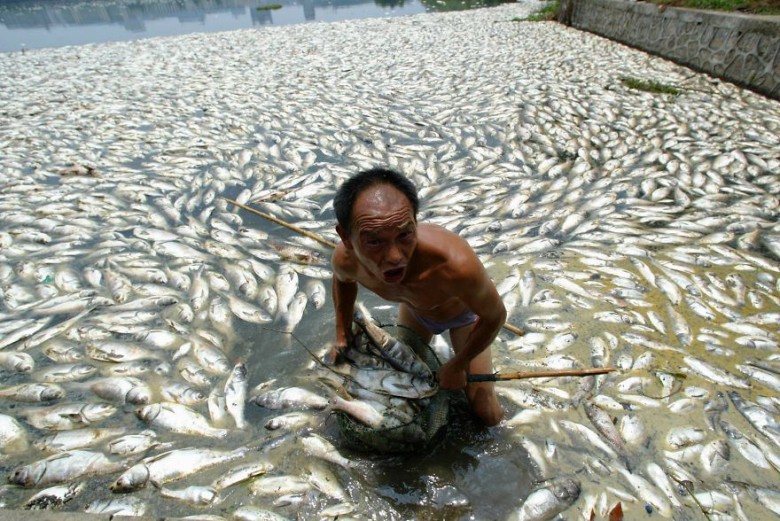 Worker clears dead fish floating in a lake in Wuhan, Central China’s Hubei Province