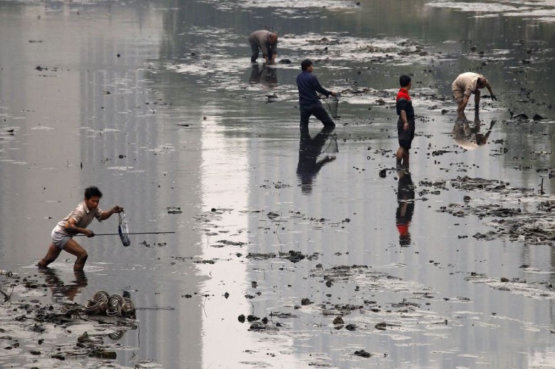 Fishermen picking fish in a polluted canal, Beijing