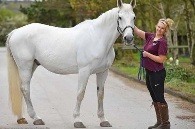 Dünyanın en beyaz atı çamur aşığı