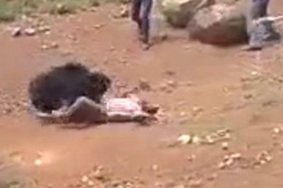 Ayıyla Selfi çekmek istedi sonra ayıyı dövüp öldürdüler