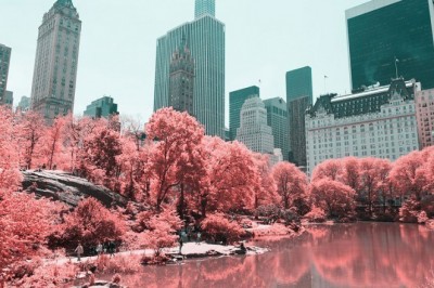 Paolo Pettigiani, Kızılötesi Fotoğraflarla Bize Dünyayı Farklı Gösteriyor