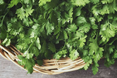 Yüzdeki Lekeler İçin: Günde 2 Defa Maydanoz Çayı İçin