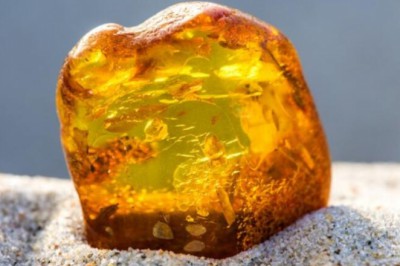 Kehribar kullanımı cilt hastalıkları üzerinde faydalı bir etkiye sahiptir