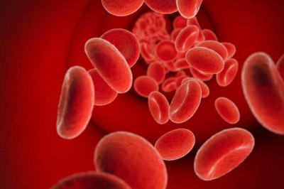 Hangi kan grubunun kalp krizi geçirme riski daha yüksektir?