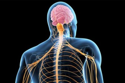 ALS - Motor Nöron Hastalığı Nedir?