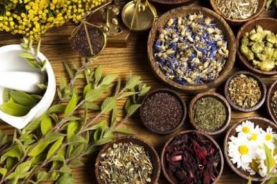 Cinsel güç arttırıcı bitkiler